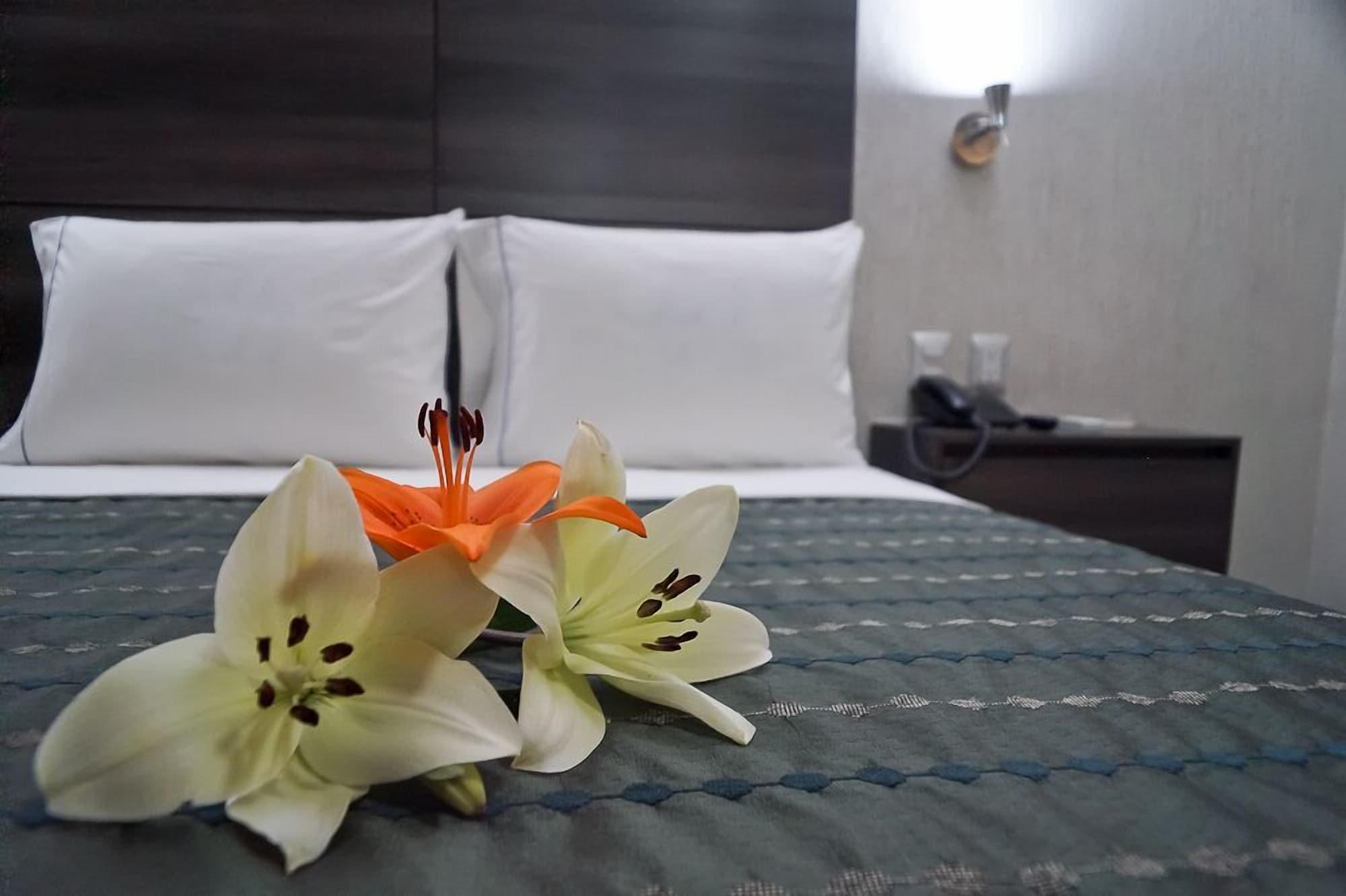 Hotel Expo Abastos Guadalajara Bagian luar foto